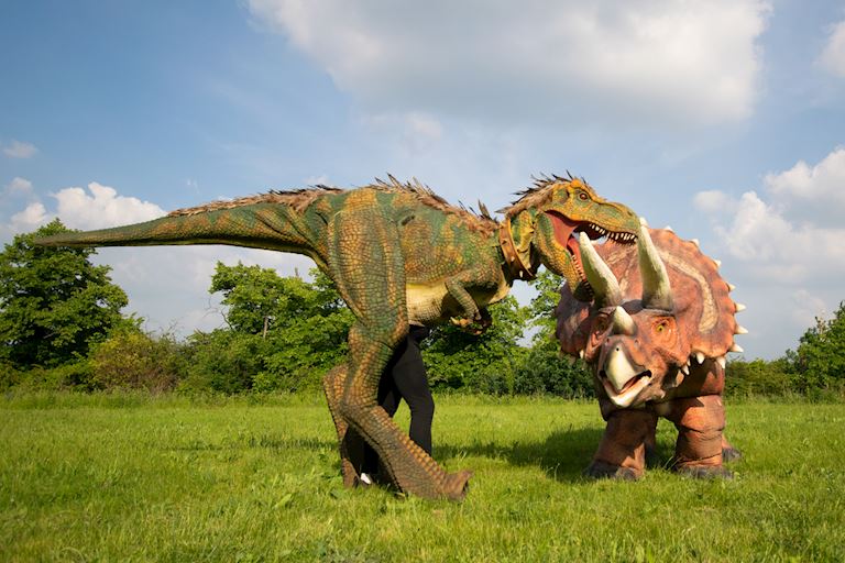 Dinosaur Fight.jpg