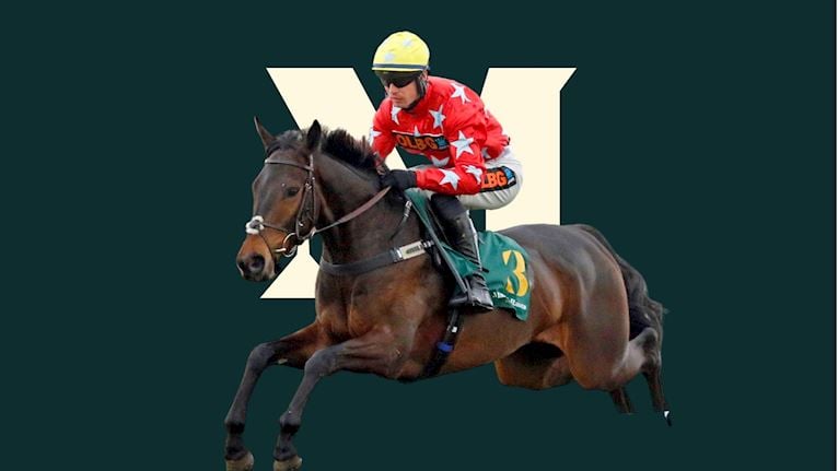 ABP County Raceday