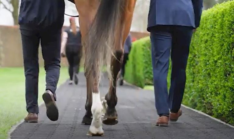 NEWMARKET TOWN PLATE TO BE RUN IN HONOUR OF THE LATE VALDA EMBIRICOS IN 2025