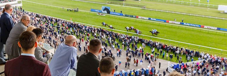 BID4ABOX AT NEWMARKET'S CAMBRIDGESHIRE MEETING