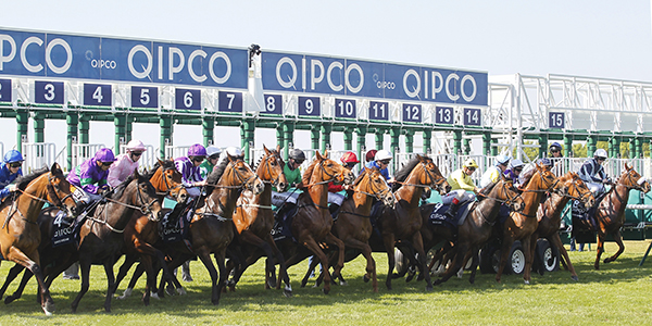 Newmarket's QIPCO Guineas Festival to move to three days from 2022 onwards