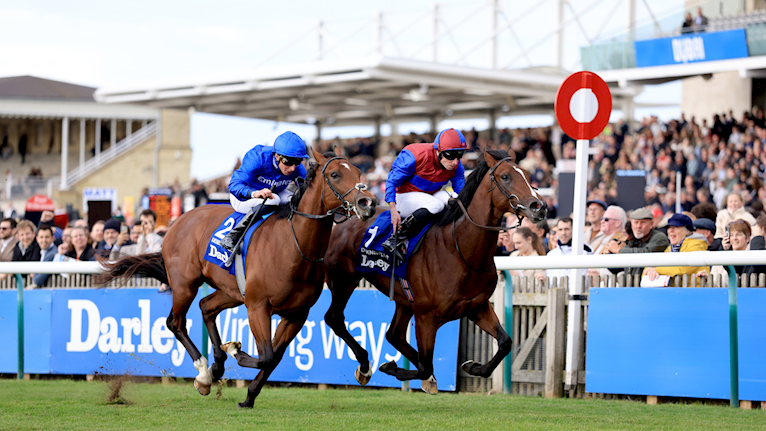Will we see a Triple Crown attempt in 2027? Darkness Falls excites O’Brien with Darley Dewhurst Stak
