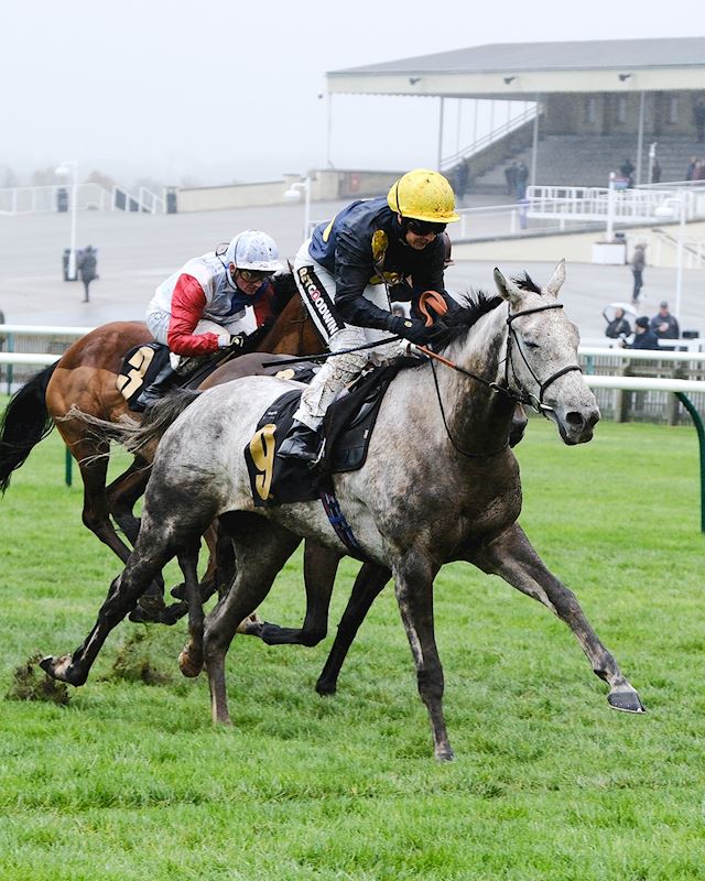 LUNAR ECLIPSE MOVES HAYLEY TURNER ON TO 999 CAREER WINS