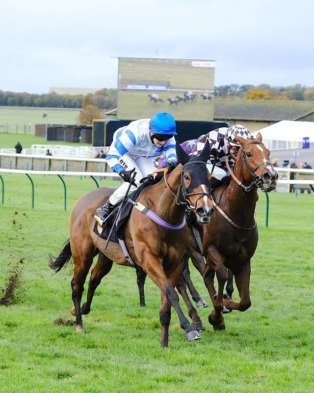 TRAINER MARK LOUGHNANE CELEBRATES PERSONAL BEST TOTAL 