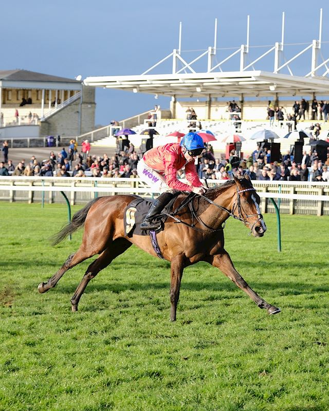 REGAL JUBILEE EARNS CLASSIC QUOTES FOLLOWING LISTED MONTROSE SUCCESS