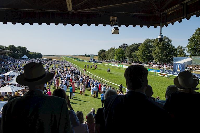Spectator Guide