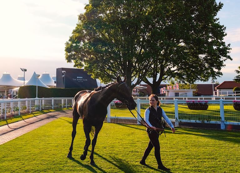 Afternoon Racing - 22 May