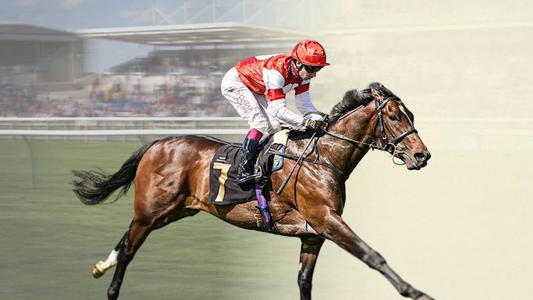 The Betway Craven Meeting