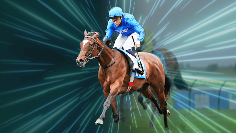 Dubai Future Champions Festival