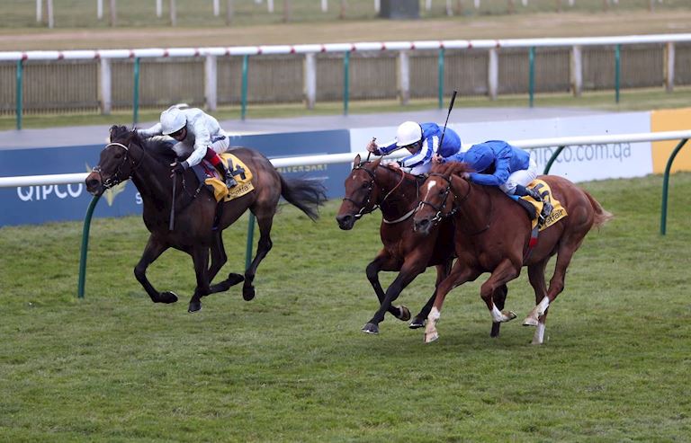Race 2 resized.jpg