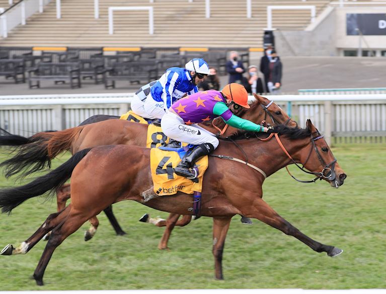 Race 4_Lady Bowthorpe-.jpg
