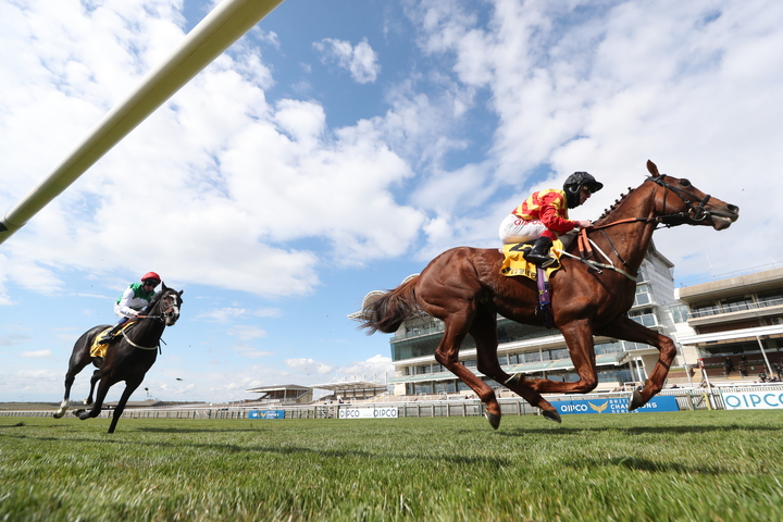 Race 4 Winner.jpg