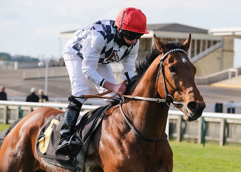 Race 8_Winner.jpg