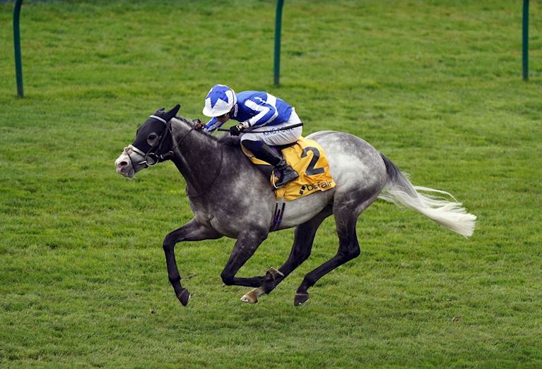 Race 4 - Shine so bright.jpg
