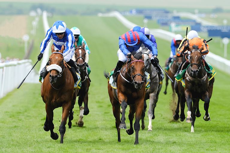 Race 2 - Dubai Honour.jpg