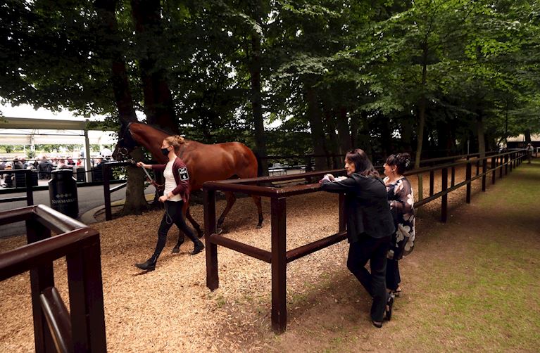 Pre-Parade Ring PA _1.jpg