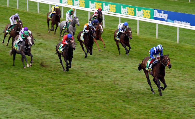 Race 5 - Motakhayyel PA.jpg