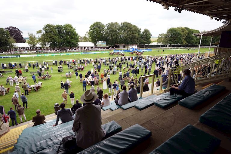 Racegoers_1 (1).jpg