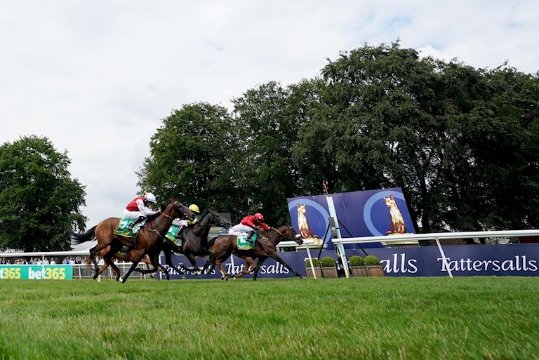Race 4 - Blackrod.jpg