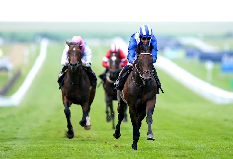 Race 6 - Baaeed.jpg