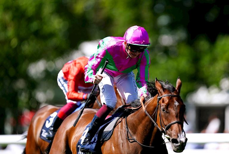 Falmouth Stakes.jpg