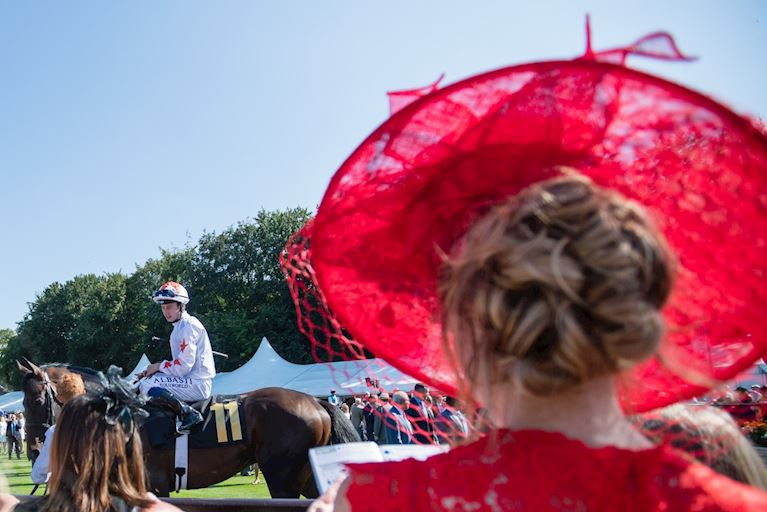 July Festival_Register_Interest_CTA.jpg