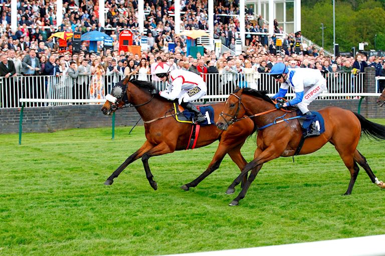 Nottingham Racecourse