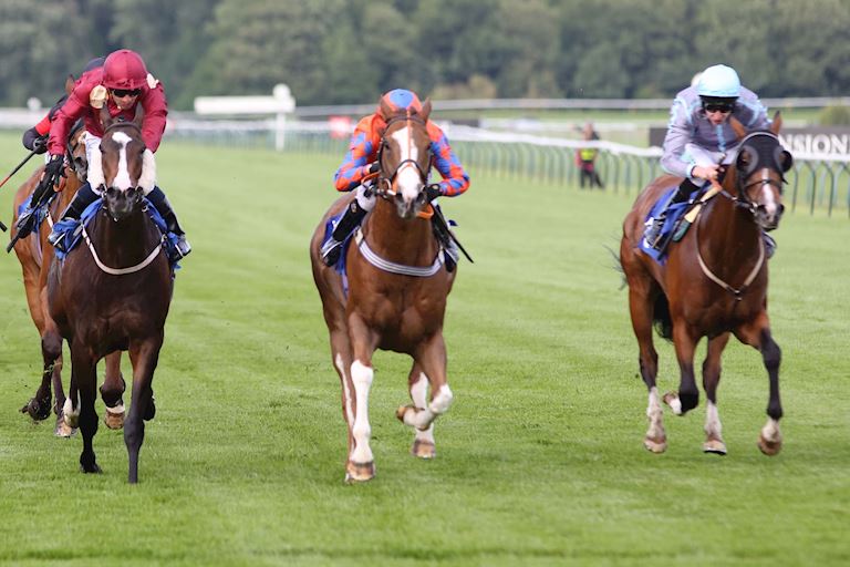 £9 racedays