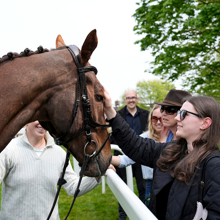 Untitled design (99).png