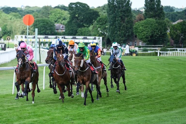 Horses Bend Final Race Sandown 06.20.jpg