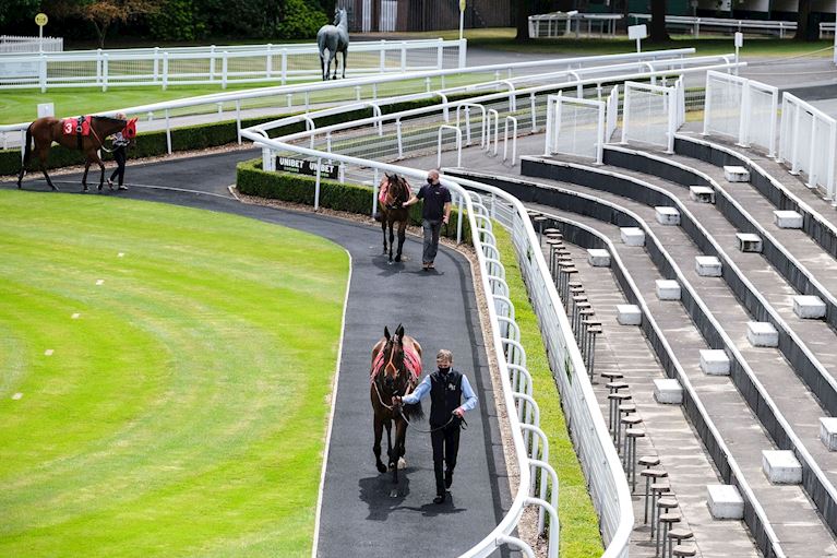 Horses Empty Parade Ring Sandown 06.20.JPG