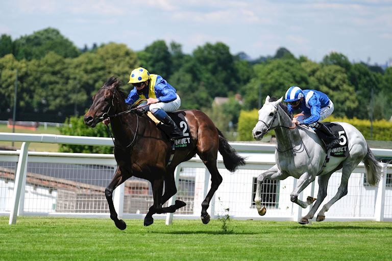 Solid Stone Sandown Park 2020.jpg