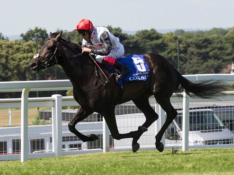 2015_Golden Horn.jpg