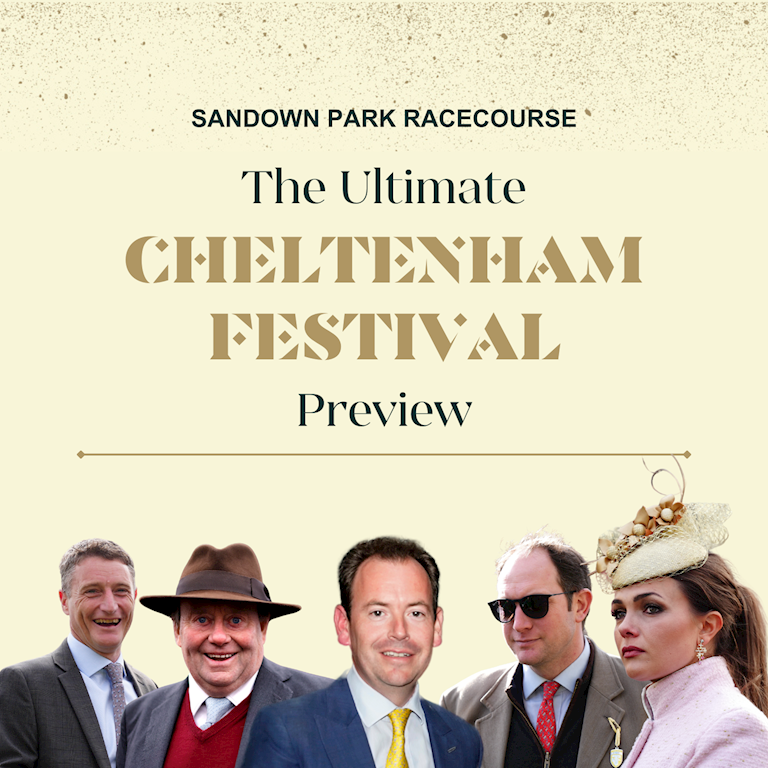 THE ULTIMATE (3).png