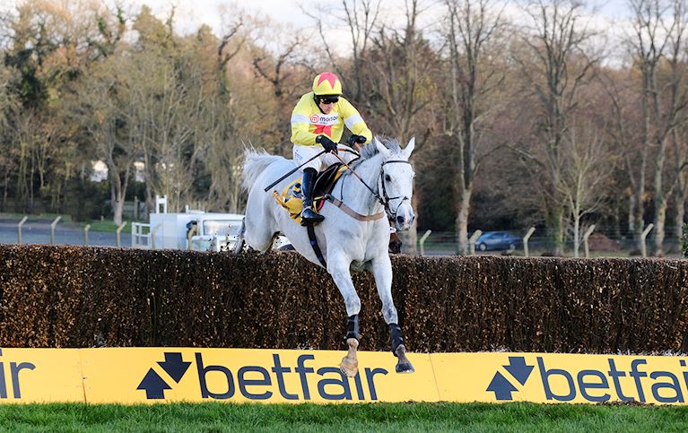 Politologue jump - Tingle Creek.jpg