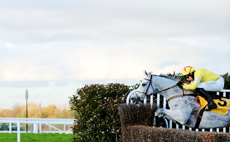 Politologue Tingle Creek 20.jpg