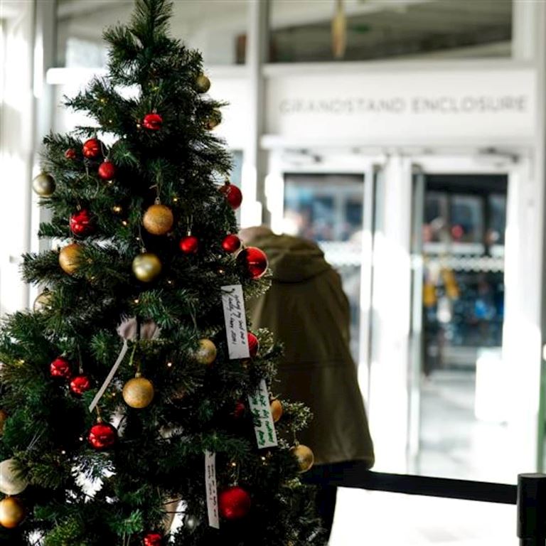 Tingle Xams Gifiting (1).jpg