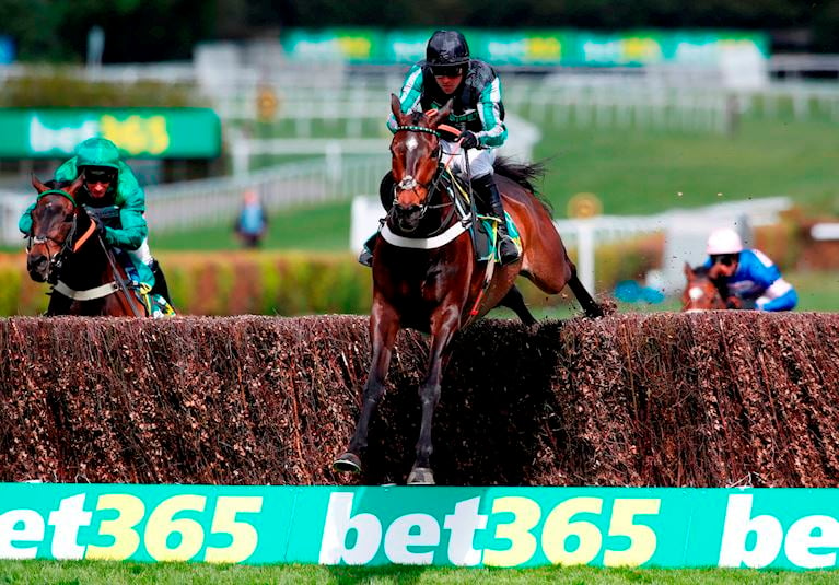 Altior on the way to becoming the first horse to win 19 successive jumps races.jpg