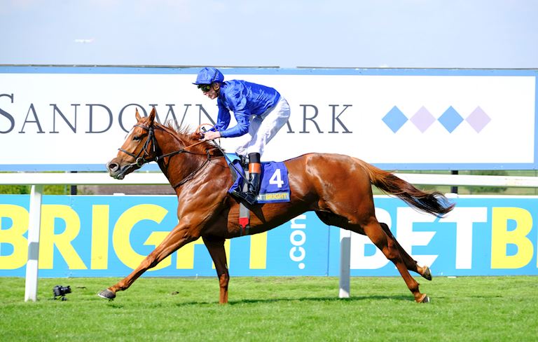 Masar Sandown Park Summer 2017.jpg