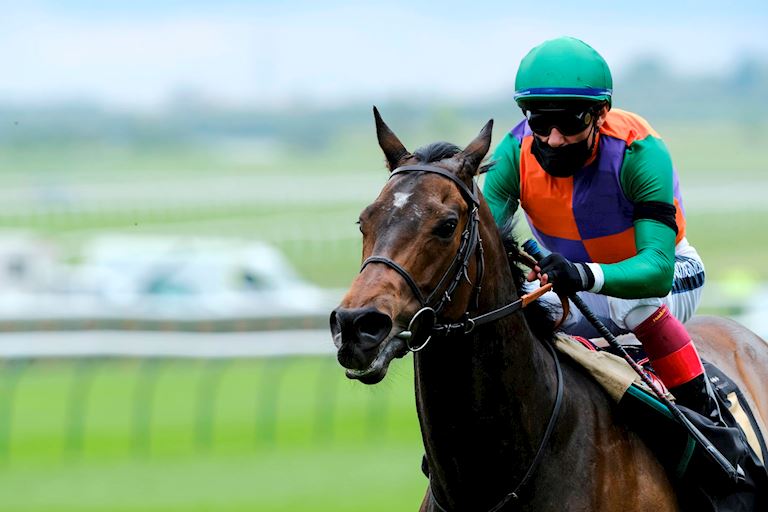 Arecibo looking to go one better in Coral Charge on Saturday