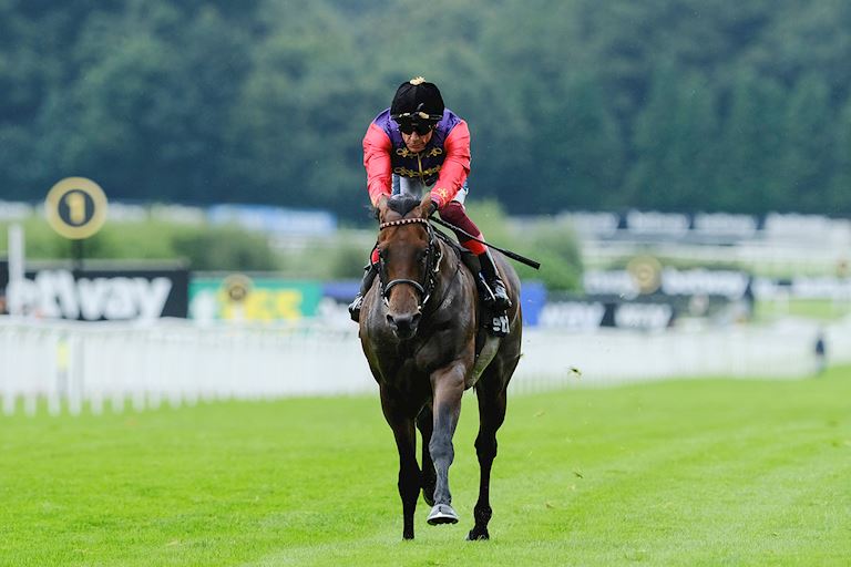 Royal Success in Betway Solario Stakes