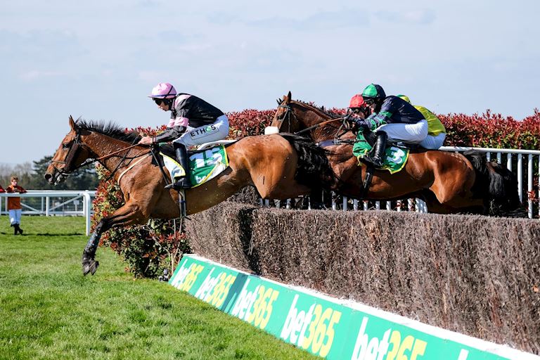 70 ENTERED FOR bet365 GOLD CUP INCLUDING NINE FROM STABLE OF WILLIE MULLINS 