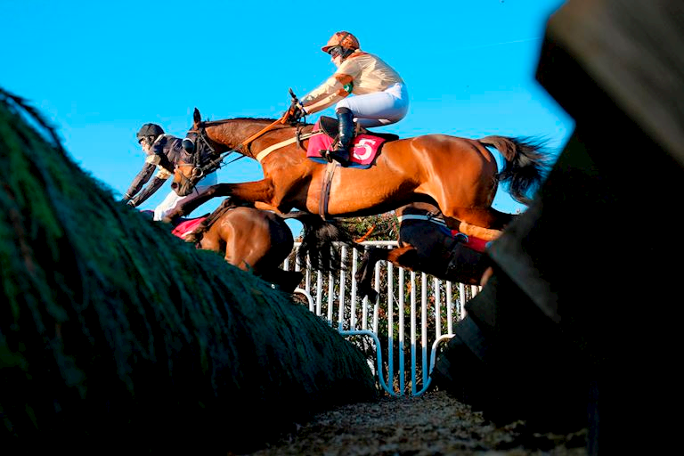 Sandown Racecourse Annual Membership