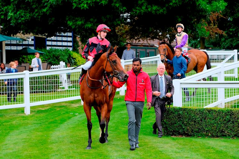Sandown Park Stabling & Racing Staff  Information