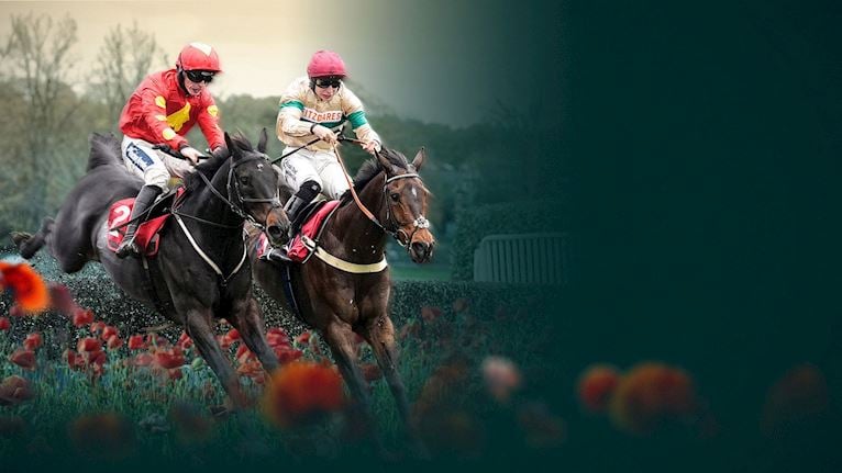 Oddschecker Jump Season Opener