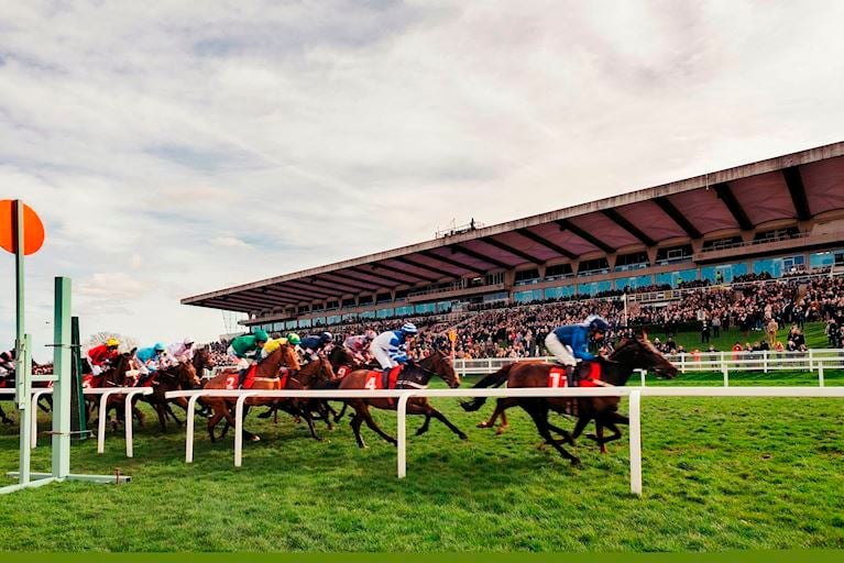 Sandown Park Royal Artillery Race Grandstand 2019.jpg