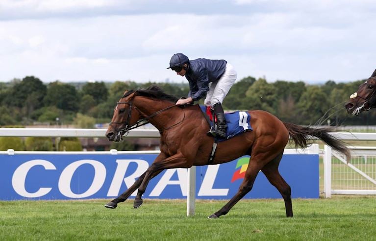 Coral-Eclipse Day
