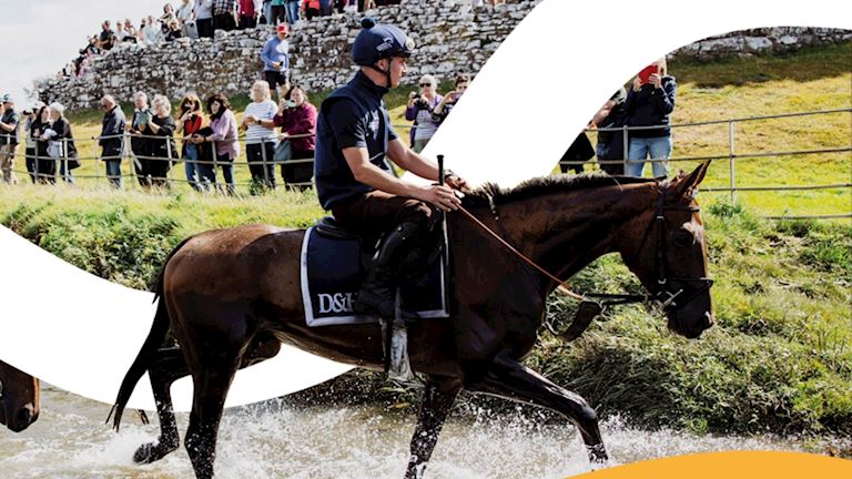 National Racehorse Week