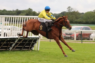 Warwick races cancelled as dry conditions take their toll