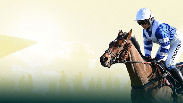Racing for Children Charity Raceday